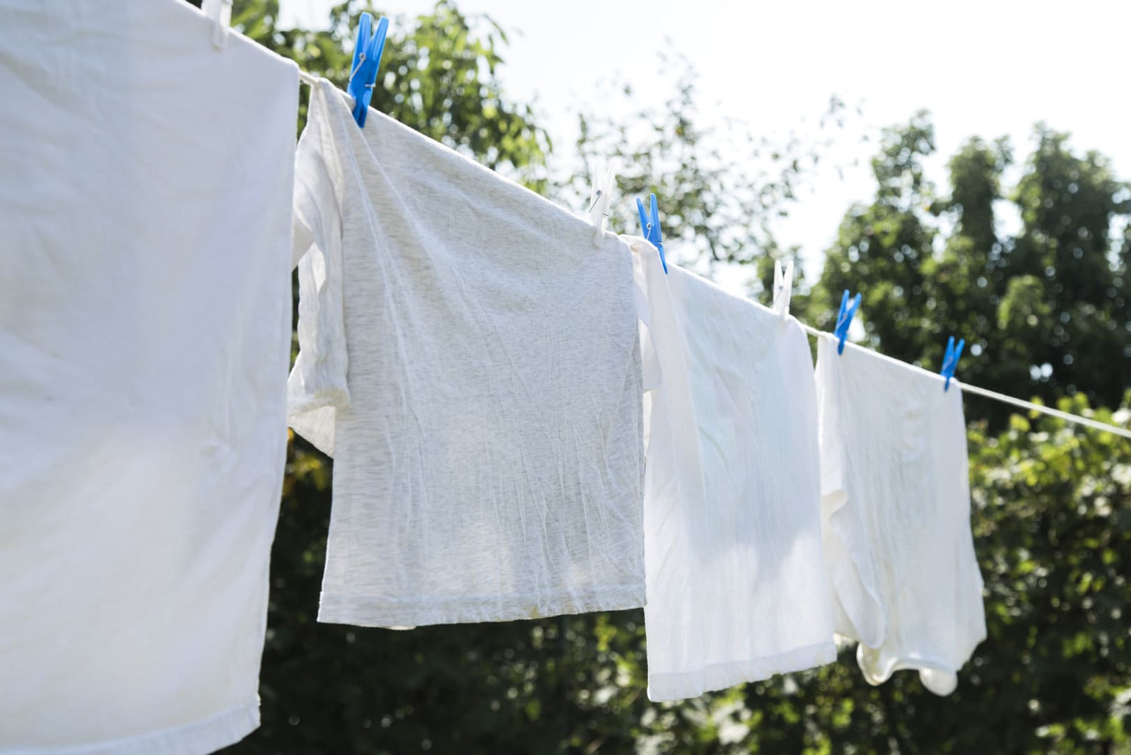 Cómo quitar el olor a humedad en la ropa de forma efectiva y duradera