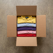 mix-polos-ralph-lauren-grado-b-04