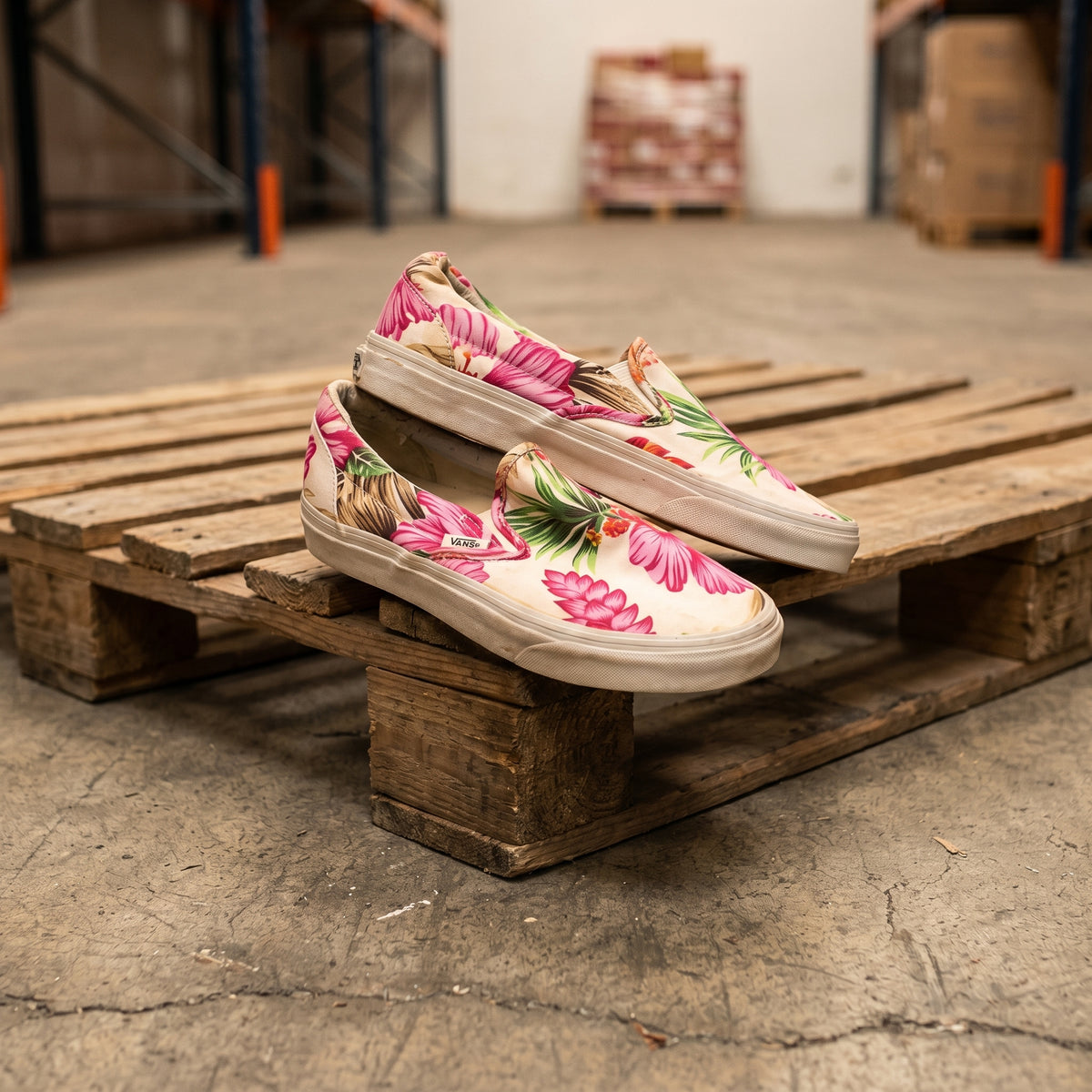 MIX RETRO CONVERSE & VANS